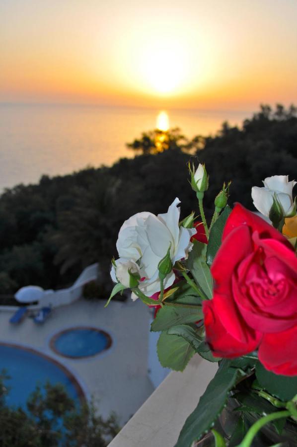 Holiday Apartments Maria With Pool And Panorama View - Agios Gordios Beach Eksteriør billede